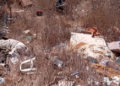 basura-mirador-oasis-009