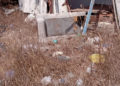 basura-mirador-oasis-013
