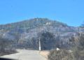 bomberos-incendio-monte-garcia-aldave-001