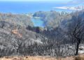 bomberos-incendio-monte-garcia-aldave-004