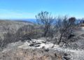 bomberos-incendio-monte-garcia-aldave-009