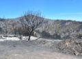 bomberos-incendio-monte-garcia-aldave-012