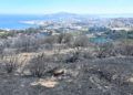 bomberos-incendio-monte-garcia-aldave-013