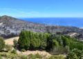 bomberos-incendio-monte-garcia-aldave-015