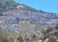 bomberos-incendio-monte-garcia-aldave-016