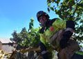bomberos-incendio-monte-garcia-aldave-018