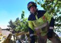 bomberos-incendio-monte-garcia-aldave-019