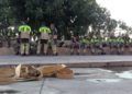 bomberos-lucha-incendio-garcia-aldave-001