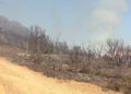 bomberos-lucha-incendio-garcia-aldave-011