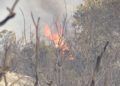 bomberos-lucha-incendio-garcia-aldave-013