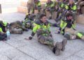 bomberos-lucha-incendio-garcia-aldave-018