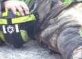bomberos-lucha-incendio-garcia-aldave-021