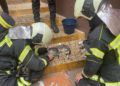 bomberos-oxigeno-gatos-incendio-1