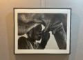 exposicion-fotografia-nilo-blanco (5)