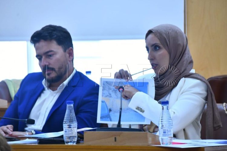 fatima-hamed-mdyc-pleno-002