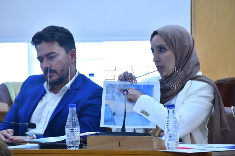 fatima-hamed-mdyc-pleno-002