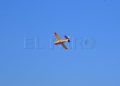 hidroavion-extincion-incendio-aldave-002