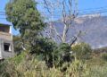 monte-garcia-aldave-incendio-003