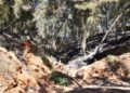 monte-garcia-aldave-incendio-006