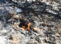 monte-garcia-aldave-incendio-007