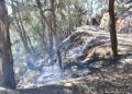monte-garcia-aldave-incendio-009