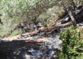 monte-garcia-aldave-incendio-012