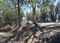 monte-garcia-aldave-incendio-013