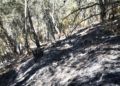 monte-garcia-aldave-incendio-014