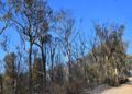 monte-garcia-aldave-incendio-015