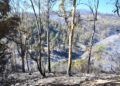 monte-garcia-aldave-incendio-018