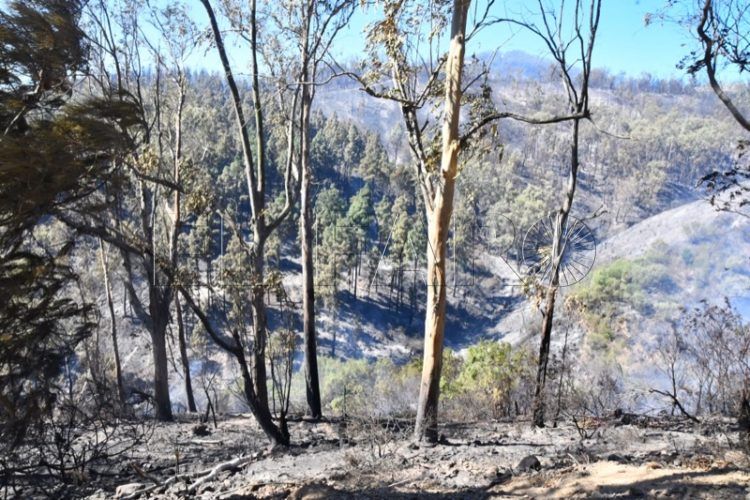 monte-garcia-aldave-incendio-018