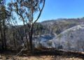 monte-garcia-aldave-incendio-019