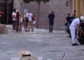 obras-pedro-meneses-006