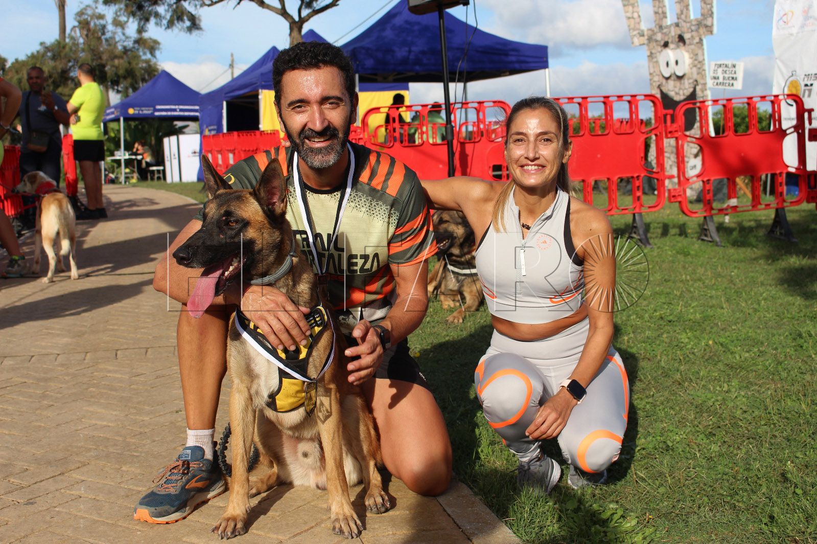 perro-policia-brull-felipe-zarco (2)