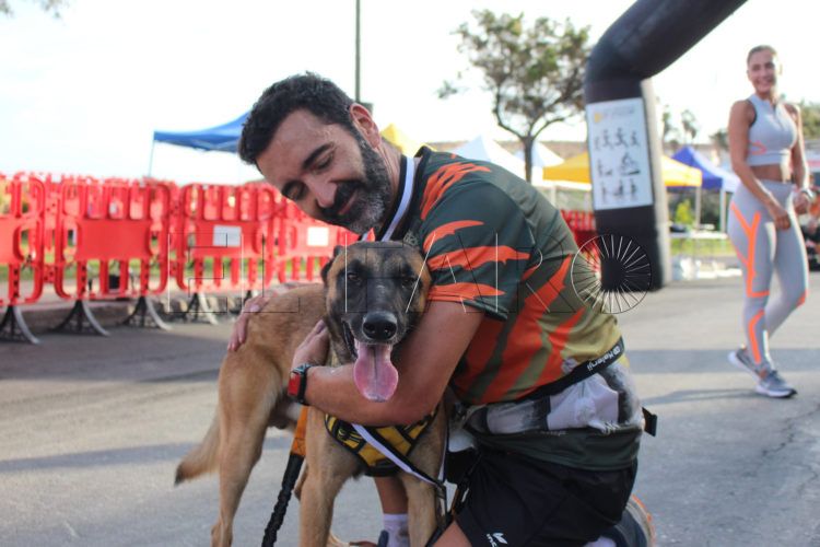 perro-policia-brull-felipe-zarco (3)