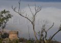 reforestacion-garcia-aldave-incendio-008