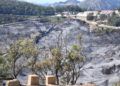 reforestacion-garcia-aldave-incendio-014