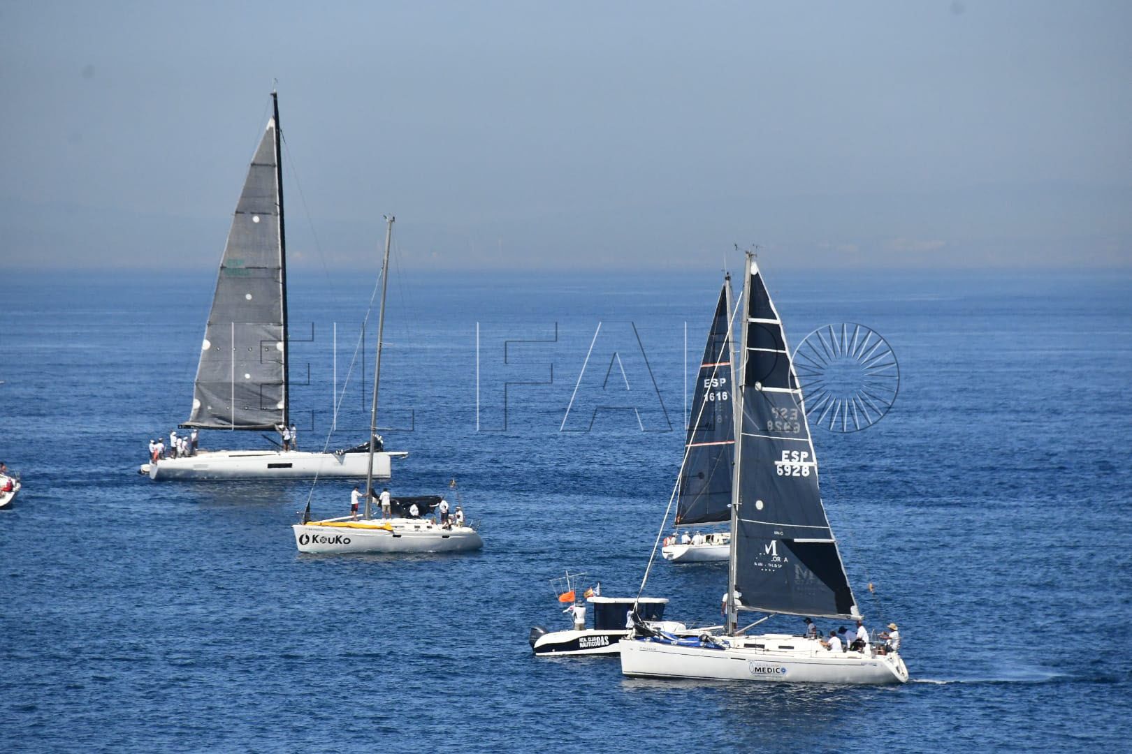 regata (5)