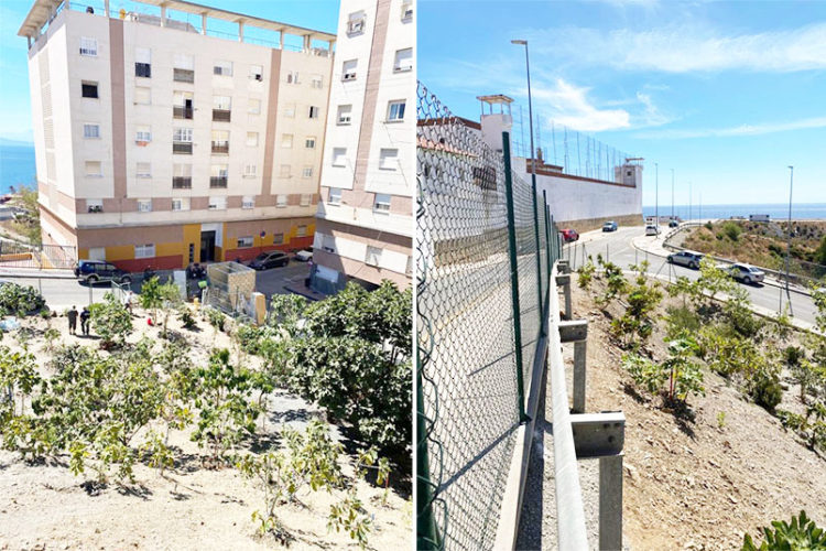 reina-huerto-ecologico