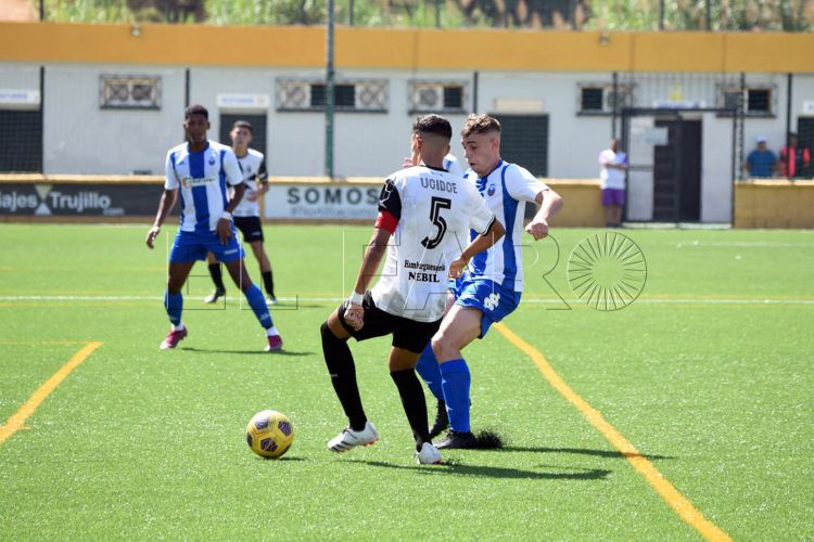 ucidce-nervion-ok