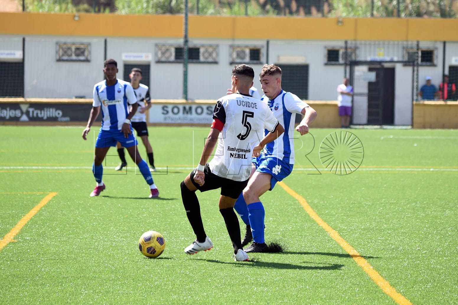 ucidce-nervion-ok