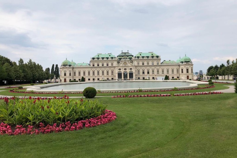viena-colaboracion-daniel-pizarro-003