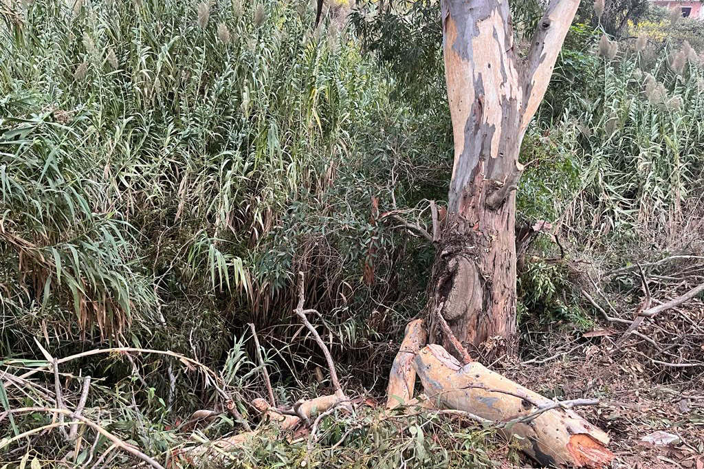 arroyo infierno 2 (1)