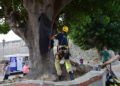 bomberos-rescate-vertical-foso-murallas-reales-010
