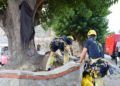 bomberos-rescate-vertical-foso-murallas-reales-011