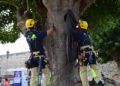 bomberos-rescate-vertical-foso-murallas-reales-013