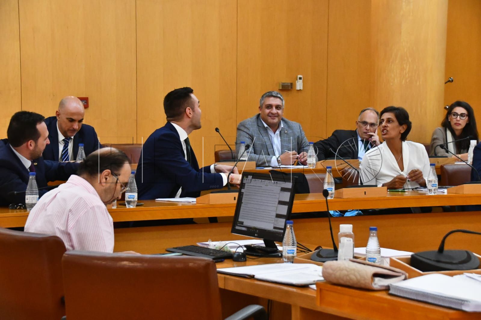 chandiramani-verdejo-redondo-dris-vox