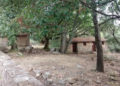 club-manada-ruta-sauceda-003