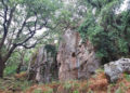 club-manada-ruta-sauceda-014