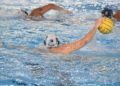 club-natacion-caballa-002